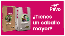 pavo